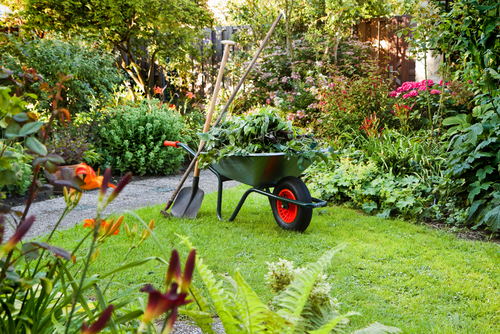 5 Easy Ways To keep Your Garden Clean