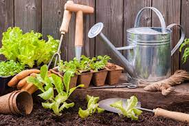 Ways To Prolong The Life Of Your Garden