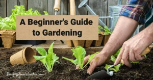A Beginners Guide To Gardening
