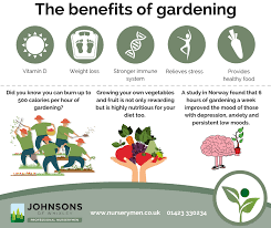 What Are The Benefits Of Home Gardening
