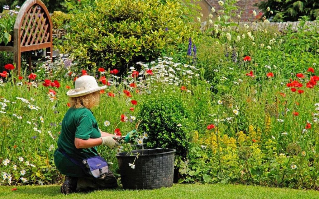Why Should We Love Gardening?
