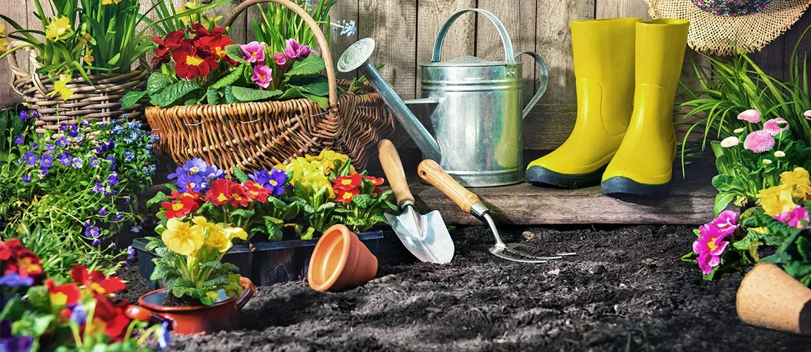 What Is The Most Important Thing About Gardening?
