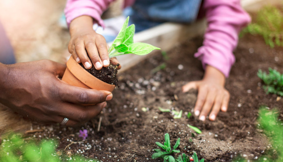 What Is Gardening And Its Benefits?