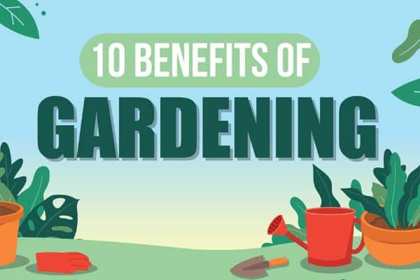 What Are The 10 Benefits Of Gardening?