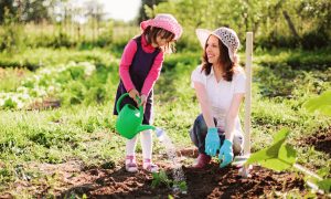 What Are Gardening Activities?
